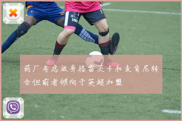 药厂考虑放弃格雷茨卡和麦肯尼转会但前者倾向于英超加盟