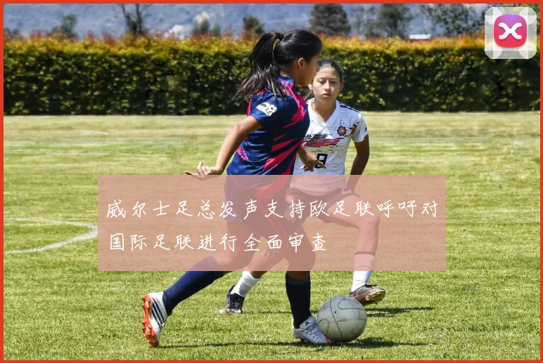 威尔士足总发声支持欧足联呼吁对国际足联进行全面审查