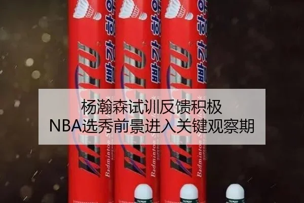 杨瀚森试训反馈积极 NBA选秀前景进入关键观察期