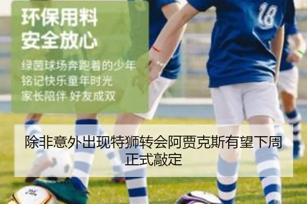 除非意外出现特狮转会阿贾克斯有望下周正式敲定